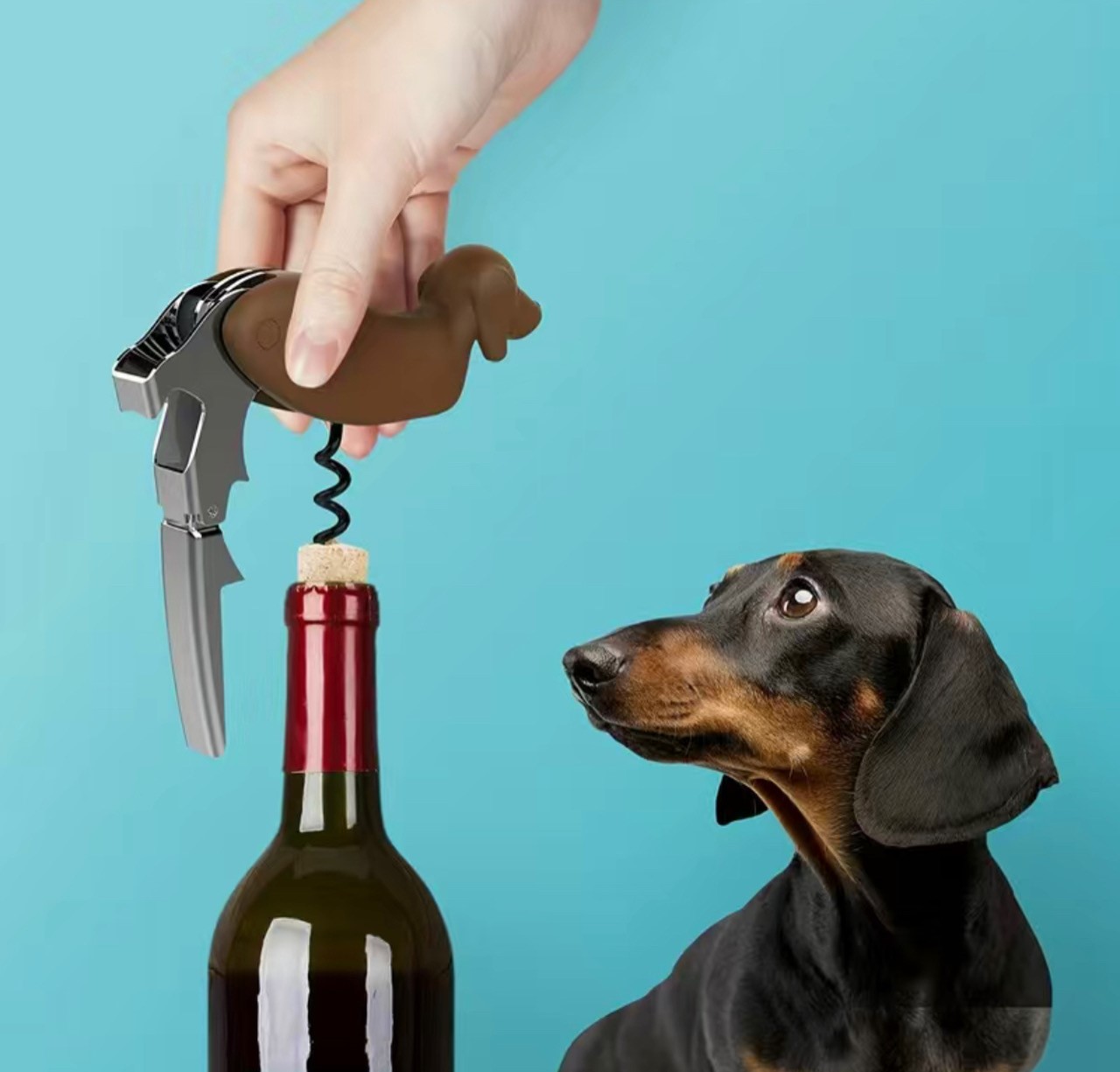 flessenopener en kurkentrekker teckel