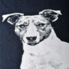 Badhanddoek Jack Russell_1