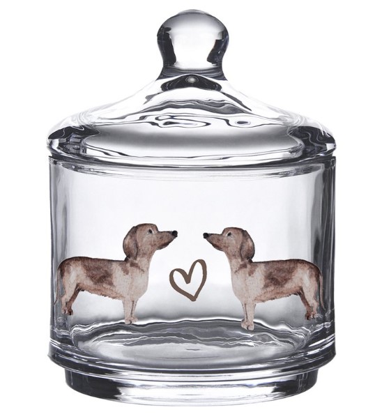 Koekjestrommel glazen pot teckel