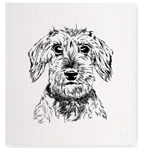 afwasdoekje ruwharige teckel