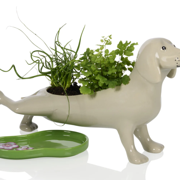 Plassende plantenbak