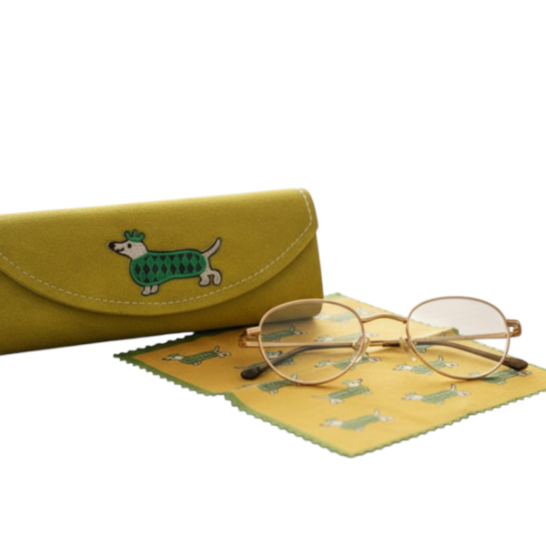 Brillendoos met brillendoekje