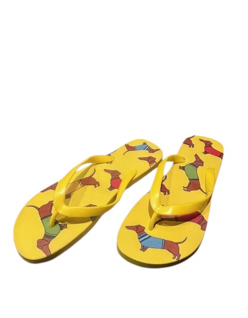 gele teckel flipflops_7
