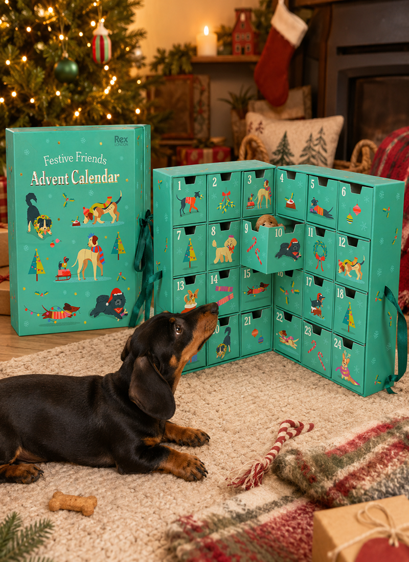 teckel kalender