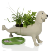 teckel plantenbak