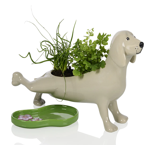 Plassende plantenbak